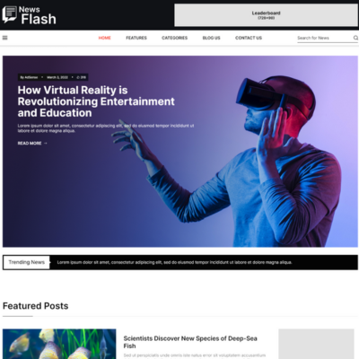 Free Adsense WordPress Theme