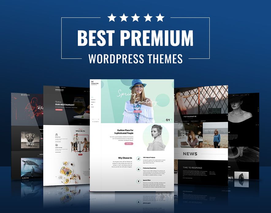 premium-wordpress-themes