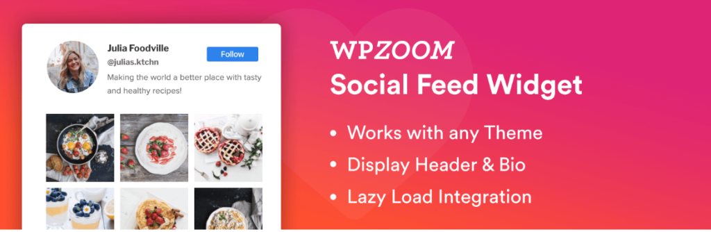 Instagram feed plugins for WordPress
 Instagram feed plugins for WordPress by WPZOOM 